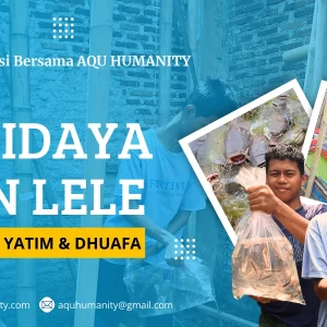 Sedekah Budidaya Ikan Lele