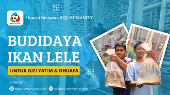 Sedekah Budidaya Ikan Lele